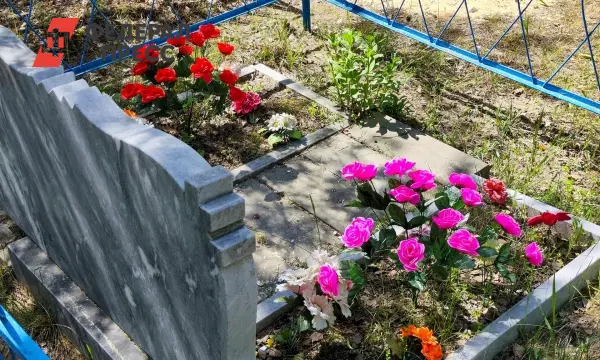 В Калининграде ищут решения для борьбы с вандализмом на кладбище-0