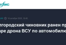 Вячеслав Гладков сообщил об атаке украинского дрона на Сергея Кулакова vyacheslav gladkov soobshhil ob atake ukrainskogo drona na sergeya kulakova-pux-su-0