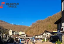 Альтернатива для Германии приезжает в Сочи на форум с 'Единой Россией' alternativa dlya germanii priezzhaet v sochi na forum s edinoj rossiej-pux-su-0