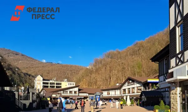 Альтернатива для Германии приезжает в Сочи на форум с 'Единой Россией'-0