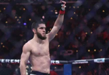 Эксперт Корешков считает, что Маддалена станет серьёзным испытанием для Махачева в UFC ekspert koreshkov schitaet chto maddalena stanet seryoznym ispytaniem dlya mahacheva v -pux-su-0