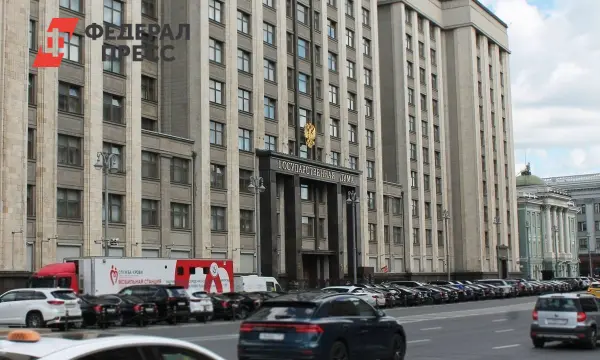 Госдума на грани нововведений о детях и диверсиях по мнению Сергея Липового-0