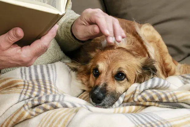 Вводная картинка