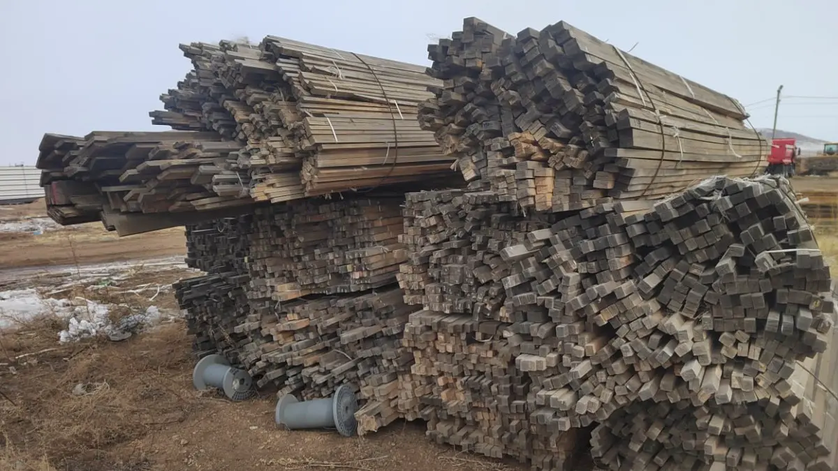 Банда в Забайкалье украла леса на миллиард рублей