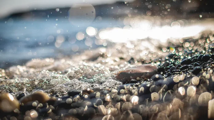 kraisom nunpradit obnaruzhil ambru kashalota stoimostyu 24 milliona rublej-pux-su-0