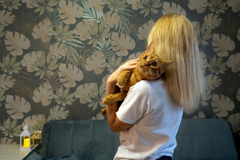 Молодая женщина держит и гладит свою молодую рыжую красивую кошку