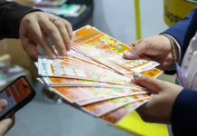 Мурманчанин стал миллионером благодаря лотерее и сну о звездах во время отпуска murmanchanin stal millionerom blagodarya loteree i snu o zvezdah vo vremya otpuska-pux-su-0