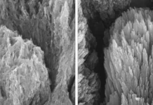 Ноттингемский университет представил гель для восстановления зубной эмали nottingemskij universitet predstavil gel dlya vosstanovleniya zubnoj emali-pux-su-0