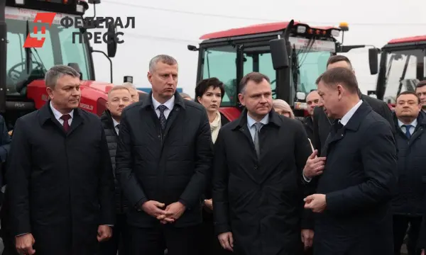 Новые горизонты для МАЗ, МТЗ и Амкодор в Ростовской области-0