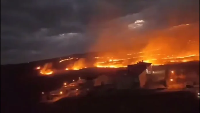 operativnoe reagirovanie na prirodnye pozhary v kemerovskoj oblasti i pushkine-pux-su-0