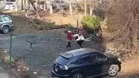 Пенсионерка во Владивостоке избила бревном и покусала соседей