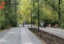 Проект Вероники Щербиной предлагает улучшение Приморского края proekt veroniki shherbinoj predlagaet uluchshenie primorskogo kraya-pux-su-0