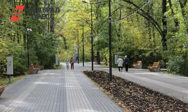 Проект Вероники Щербиной предлагает улучшение Приморского края-0