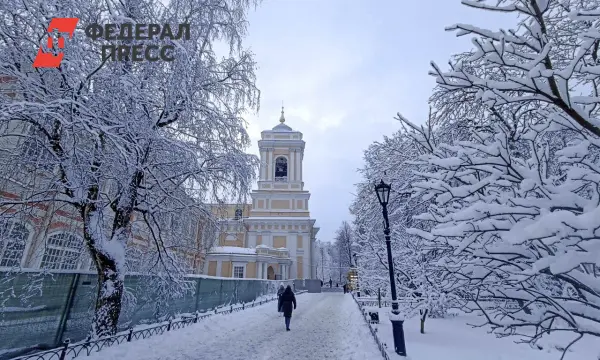 Роман Вильфанд о зиме: она будет холоднее прошлой, но теплее нормы-0