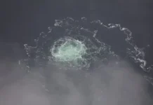 Сергей Кузнецов рассказал об интригах вокруг экстрадиции из Италии по делу «Северного потока» sergej kuzneczov rasskazal ob intrigah vokrug ekstradiczii iz italii po delu severnogo potoka-pux-su-0