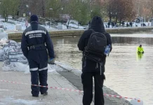 Трагедия Елены Цуцковой произошла возле Гольяновского пруда в Балашихе tragediya eleny czuczkovoj proizoshla vozle golyanovskogo pruda v balashihe-pux-su-0