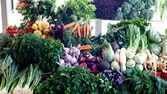 uchastniki svo razvivayut fermerskie plany v shkole fermera-pux-su-0