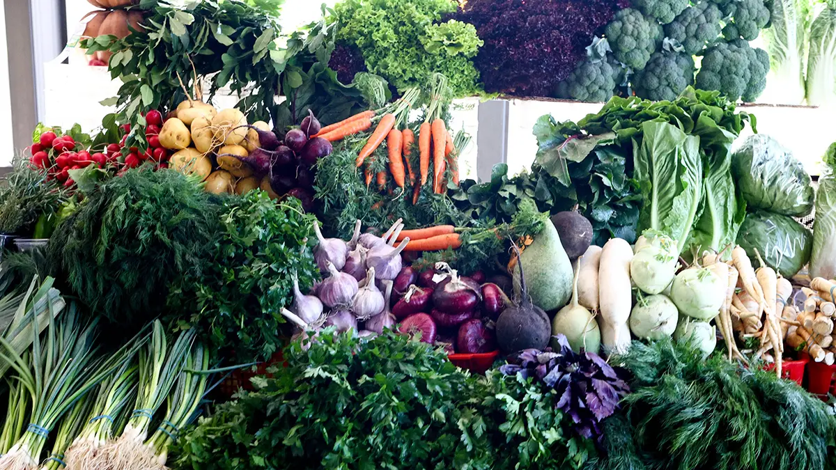 Московские ярмарки консультируют участников СВО, решивших стать фермерами