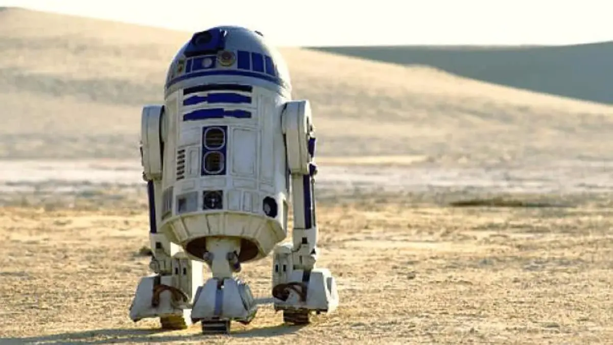 Удивительные скворцы превзошли попугаев в имитации звуков R2-D2 из «Звездных войн»!-0