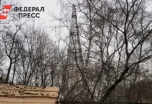 УВБ-76 Загадочные коды Посейдона и позитивные отклики Радио Судного дня uvb76 zagadochnye kody posejdona i pozitivnye otkliki radio sudnogo dnya-pux-su-0