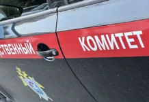 В Москве продолжается расследование убийства ребенка у Гольяновского пруда v moskve prodolzhaetsya rassledovanie ubijstva rebenka u golyanovskogo pruda-pux-su-0