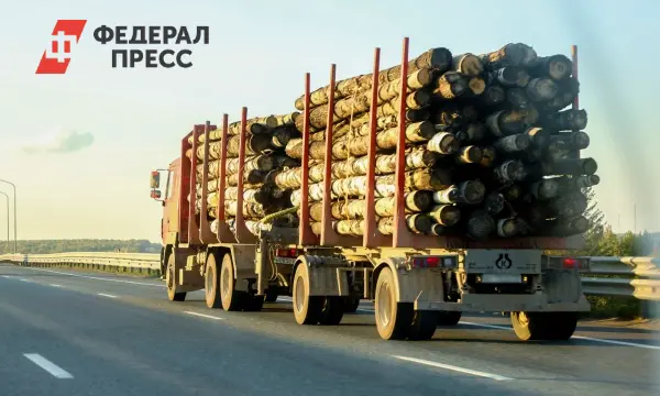 В Пензе на высоких позициях зарплат оказались водители категории Е и инженеры ПТО-0