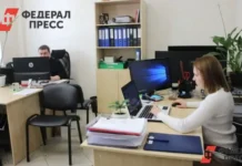 В Петербурге растет спрос на бухгалтеров с цифровыми навыками v peterburge rastet spros na buhgalterov s czifrovymi navykami-pux-su-0