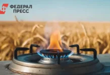 Виталий Хоценко сообщил о завершении подключения газа в Омской области vitalij hoczenko soobshhil o zavershenii podklyucheniya gaza v omskoj oblasti-pux-su-0