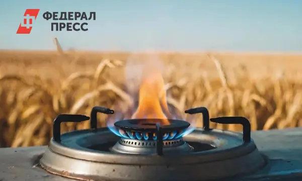 Виталий Хоценко сообщил о завершении подключения газа в Омской области-0