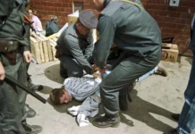 vladimir barsukov kumarin o tom kak tambovskaya opg registrirovalas v sanktpeterburge-pux-su-0