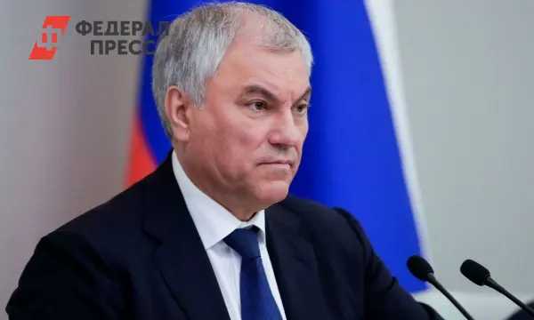 Вячеслав Володин и Госдума одобрили инициативу по защите детей от алкоголя-0