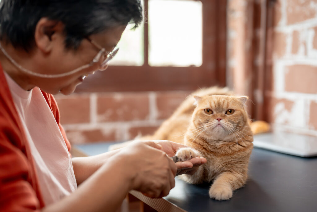 Женщина стрижет когти кошке