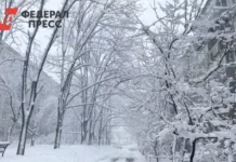 Жители Рязанской области проявили бдительность в борьбе с мошенниками zhiteli ryazanskoj oblasti proyavili bditelnost v borbe s moshennikami-pux-su-0