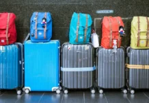 АТОР рассказал о лучших возможностях для россиян в Сербии и Черногории ator rasskazal o luchshih vozmozhnostyah dlya rossiyan v serbii i chernogorii-pux-su-0