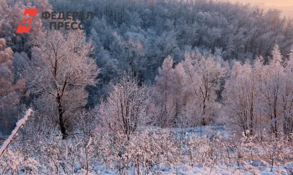 Борис Кубай из Примгидромета озвучил позитивный прогноз для Владивостока-0