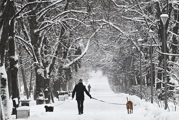 Вводная картинка