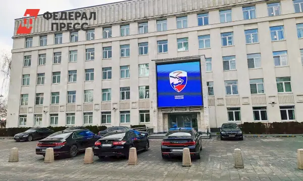 Дмитрий Медведев утверждает, что Единая Россия укрепляет партийные структуры-0