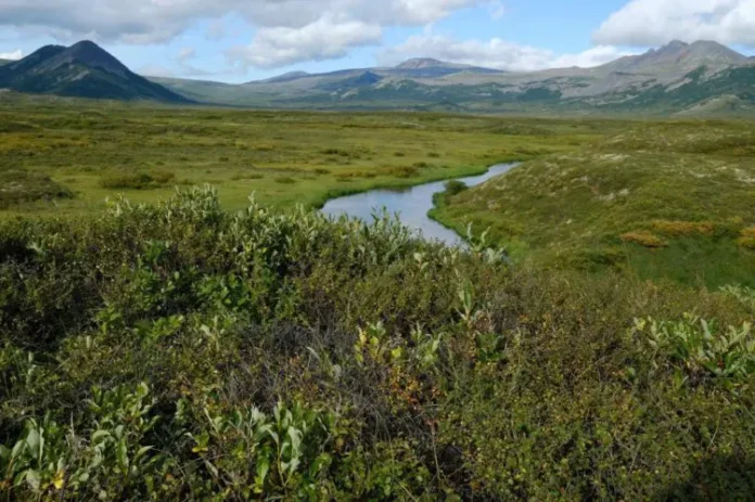 ekosistemnyj podhod mgu otkryvaet novye perspektivy ohrany prirody-pux-su-0