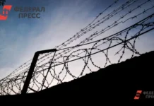 Элеонора Халикова из администрации Челябинска рассказала о деле с парком Гагарина eleonora halikova iz administraczii chelyabinska rasskazala o dele s parkom gagarina-pux-su-0