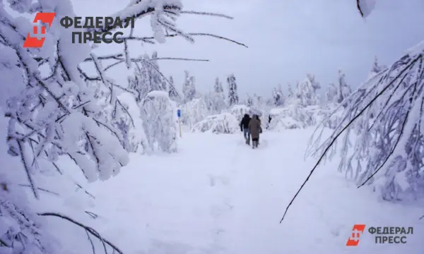 Евгений Буянов делится новыми гипотезами в поисках семьи Усольцевых-0