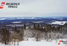 Геннадий Кабанов делится надеждами и находками в поисках Усольцевых gennadij kabanov delitsya nadezhdami i nahodkami v poiskah usolczevyh-pux-su-0