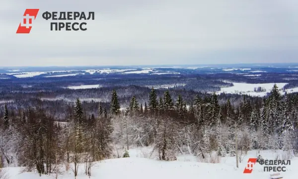 Геннадий Кабанов делится надеждами и находками в поисках Усольцевых-0