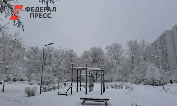 Гидрометцентр сообщает о морозах в Сибири, Якутии, Приволжье и Москве в декабре-0