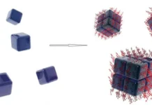 ИТЭБ РАН разрабатывает наночастицы окиси вольфрама для новых медицинских томографов iteb ran razrabatyvaet nanochasticzy okisi volframa dlya novyh mediczinskih tomografov-pux-su-0