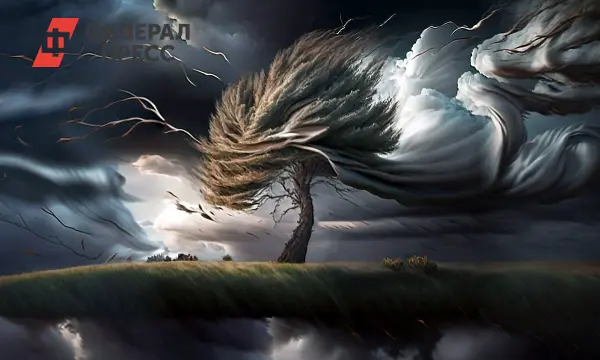 МЧС России сообщает о готовности Санкт-Петербурга к ветрам до 15 м/с 11 декабря-0