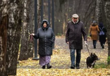 Мошенники в Госуслугах и советы от Банка Хлынов и МТС «Защитник» moshenniki v gosuslugah i sovety ot banka hlynov i mts zashhitnik-pux-su-0