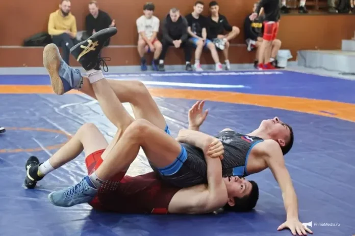 oleg ledovskih i konstantin novikov dobilis novyh uspehov v federaczii sportivnoj borby primorskogo kraya-pux-su-0