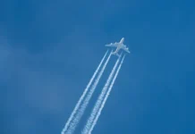 Популярные направления для отдыха включают Домбай, Псков и Токио populyarnye napravleniya dlya otdyha vklyuchayut dombaj pskov i tokio-pux-su-0