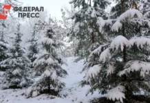 Прогнозы на декабрь по Владивостоку и Приморскому краю в условиях циклонов prognozy na dekabr po vladivostoku i primorskomu krayu v usloviyah cziklonov-pux-su-0