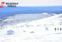 Туристы из Свердловской области найдены у горы Ослянка в Пермском крае turisty iz sverdlovskoj oblasti najdeny u gory oslyanka v permskom krae-pux-su-0